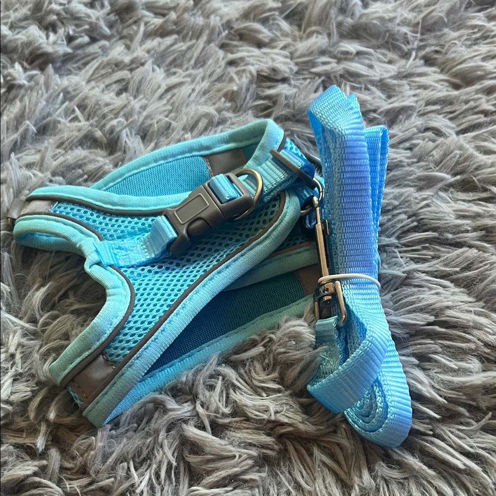 Cat Leash/Harness